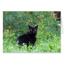 Recherche de chat triste vœux cartes Animaux