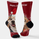 Recherche de photo hats Rouge