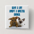 Search for dog adoption accessories Shelter