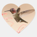 Search for humming bird stickers Wildlife
