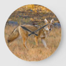 Search for canis Fur
