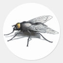 Recherche de fly autocollants Insecte