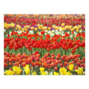 Search for fields photography Floral