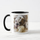 Search for teething mugs Vertical