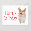 Search for cardigan cards Puppy