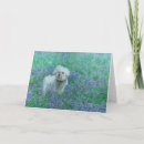 Recherche de bichons vœux cartes Animaux domestiques