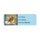 Search for songbirds return address labels Snow