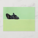 Search for peer postcards Horizontal