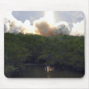 Search for takeoff electronics Cape canaveral