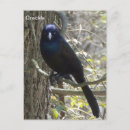 Recherche de enchaîner cartes postales Enchaînement