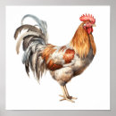 Search for rooster painting posters Modern