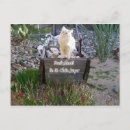 Search for we miss you postcards Kitty