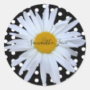 Search for black and white daisy stickers Girly
