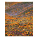 Recherche de photo de grand format posters Charles gurche