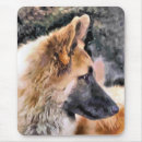 Recherche de alsacien tapis souris Chien berger allemand