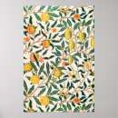 Search for pomegranate fruit posters William morris