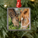 Search for horse ornaments Foal