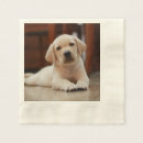 Search for labrador napkins Puppies