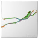 Search for blood red tiles Shells