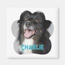 Search for dog magnets Cute