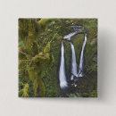 Search for river fall buttons Oregon