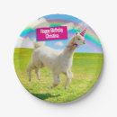 Search for alpaca plates Happy birthday