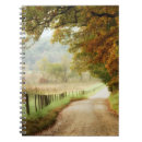Search for write photography Road