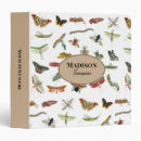 Search for insect binders Pattern