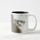 Search for temperature mugs Nature
