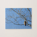 Recherche de queue puzzles Raptor