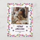 Search for light purple postcards Cute