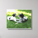 Search for english setter art Hunting