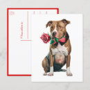 Recherche de chien pitbull cartes postales Chiot
