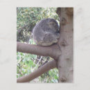 Search for cuddly vertical postcards Animals