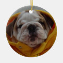 Recherche de chiot de bouledogue ornements Noël