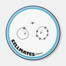 Search for electron magnets Physics