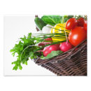 Recherche de radis posters Cuisine