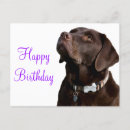 Recherche de chocolat labrador retriever vœux cartes Chiot