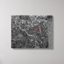 Search for red cardinal bird canvas prints Wildlife