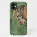 Search for panthera leo iphone cases Lion
