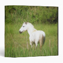 Search for wild one binders Horse