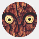 Search for owl tree stickers Cute