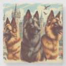 Search for belgian coasters Dogs