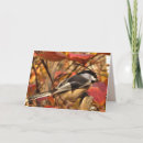 Search for chickadee birthday cards Pink