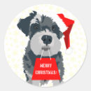 Search for mini schnauzer stickers Dog