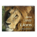 Search for lion calendars Africa