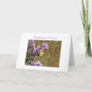 Search for weed cards Photography