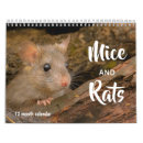 Search for mice calendars Rats