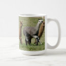 Search for motion mugs Running