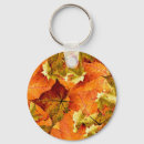 Search for fallen keychains Leaves